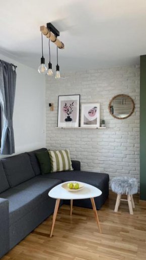 Vila Eskim Apartment 305 Jahorina
